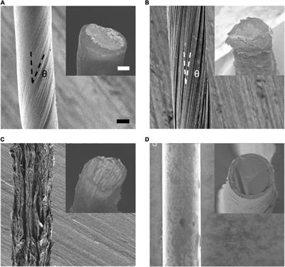 Carbon-Based Fiber Materials as Implantable Depth Neural Electrodes